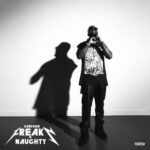 Freaky Naughty Cover x