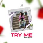 Try Me Cover Art x