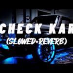 check kar lyrics instagram viral song x
