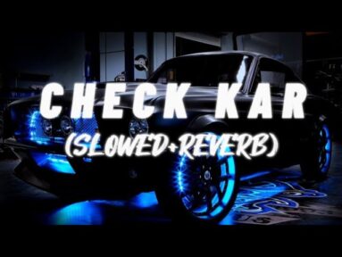 check kar lyrics instagram viral song x