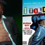 if im lying lyrics burna boy x