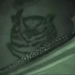 life cycle lyrics chronic law  x