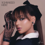 schwarzes herz lyrics ayliva x
