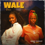 Candy Bleakz Ft. Simi – Wale Remix x